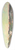 Henri Doucet - The Road to Nimes 39.3 inch art pintail longboard deck