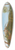 Henrik Frans van Lint - Castel Gandolfo 39.3 inch art pintail longboard deck