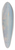 HenryBrokman - Capri, Cte Escarpe Vue De La Mer 39.3 inch art pintail longboard deck