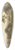 Henry H. Parker - A Norfolk stream 39.3 inch art pintail longboard deck