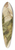 Henryk Siemiradzki - Allegory of Music, sketch for the project of the stage curtain of the Sowacki Theatre in Krakw 39.3 inch art pintail longboard deck