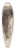 Henry Ossawa Tanner - Gate of Tangiers 39.3 inch art pintail longboard deck