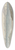 Henry Swinburne - View from Klein Zicker, Thiessow, Germany 39.3 inch art pintail longboard deck