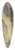 Hermann Ottomar Herzog - Pines in the Mountains 39.3 inch art pintail longboard deck