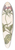 Herman Saftleven - Study of a red catchfly (Lychnis hirsuta) 39.3 inch art pintail longboard deck