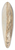 Homer Dodge Martin - Near Newport 39.3 inch art pintail longboard deck