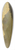 Homer Dodge Martin - Upper Ausable Lake 39.3 inch art pintail longboard deck