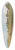 Hugo Darnaut - Ein Sommertag 39.3 inch art pintail longboard deck
