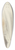 Jacob de Wit - Frauenkopf mit Schleier im Profil nach links 39.3 inch art pintail longboard deck