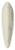 Jacobus Buys - Weite Landschaft mit der Kornernte 39.3 inch art pintail longboard deck