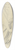 Jakob Becker - Kniende Frau, die Hnde vor dem linken Knie verschrnkt 39.3 inch art pintail longboard deck
