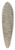 Jakob Maurer - Birch trees at the edge of the forest 39.3 inch art pintail longboard deck