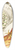 James Duncan - Ceratocampa imperialis, Harpyia Banksiae 39.3 inch art pintail longboard deck