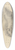 James Sowerby - A skunk with another skunk in the background 39.3 inch art pintail longboard deck
