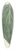 Jan Brandes - Sirih of betelblad 39.3 inch art pintail longboard deck