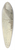 Jan Hulswit - Winterlandschaft mit Schlittschuhlufern auf einem Kanal 39.3 inch art pintail longboard deck