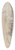 Jean Antoine Verschaeren - Figure Seen from the Back 39.3 inch art pintail longboard deck