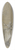 Jean-Baptiste Oudry - On trouve le corps mort de lhote que lon avait cache 39.3 inch art pintail longboard deck
