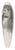 Jean Francois Gigoux - Eugne Delacroix 39.3 inch art pintail longboard deck