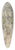 Jean-Franois Millet - Daphnis and Chlo (Le Printemps) 39.3 inch art pintail longboard deck