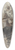 Jean-Louis Forain - After Douai 39.3 inch art pintail longboard deck