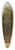Jean-Victor Bertin - A view of a sunlit courtyard with a trough, seen through an archway 39.3 inch art pintail longboard deck
