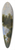 Jean-Victor Bertin - Landscape, Site of Greece (Paysage, Site de la Grce) 39.3 inch art pintail longboard deck
