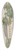 Jens Holm - Charlottenlund Slot 39.3 inch art pintail longboard deck