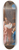 Charles Le Brun - The Presentation of Christ in the Temple 8.25 inch art skate deck