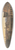 Jodocus Sebastiaen van den Abeele - View of the Colosseum in Rome 39.3 inch art pintail longboard deck