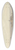 Johann Adam Klein - Ansicht von Bamberg von Sden 39.3 inch art pintail longboard deck