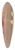 Johanna Fosie - Studie af bler og prer 39.3 inch art pintail longboard deck