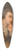 Johann Baptist von Lampi the Elder - Josef Wlfl (Komponist und Pianist) 39.3 inch art pintail longboard deck