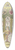 Johann Esaias Nilson - Knabe mit einem Schild unter Palmen 39.3 inch art pintail longboard deck