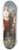 Charles Meynier - Apollo, God of Light, Eloquence, Poetry and The Fine Arts With Urania, Muse of Astronomy 8.25 inch art skate deck