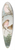 Johann Friedrich Naumann - Acanthis linaria (L.) 39.3 inch art pintail longboard deck