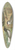 Johann Friedrich Naumann - Hydrochelidon fissipes, Hydrochelidon hybrida, Hydrochelidon nigra 39.3 inch art pintail longboard deck