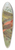 Johann Friedrich Naumann - Loxia curvirostra 39.3 inch art pintail longboard deck
