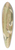 Johann Friedrich Naumann - Phalaropus fulicarius, Phalaropus lobatus, Calidris arenaria 39.3 inch art pintail longboard deck