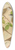 Johann Friedrich Naumann - Sylvia atricapilla 39.3 inch art pintail longboard deck