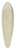 Johann Heinrich Hasselhorst - Kopf des Malers Jakob Maurer 39.3 inch art pintail longboard deck