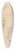 Johann Wilhelm Preyer - Studies of Plants 39.3 inch art pintail longboard deck