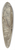 Johann Wilhelm Schirmer - Waldpartie mit einer Eiche und Farnkraut 39.3 inch art pintail longboard deck