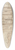 John Foster - The Temple of Apollo Epicurius at Bassai, Phigalea 39.3 inch art pintail longboard deck