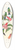 John Gould - Eucephala smaragdocaerulea (Goulds Wood Nymph) 39.3 inch art pintail longboard deck