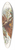 John Gould - Phasianus colchicus (Ring-necked Pheasant) 39.3 inch art pintail longboard deck