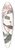 John James Audubon - Bachmans finch 39.3 inch art pintail longboard deck