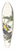 John James Audubon - Palm warbler 39.3 inch art pintail longboard deck