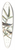John James Audubon - Solitary flycatcher or vireo 39.3 inch art pintail longboard deck