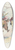 John Samuel Pughe - Warming up a sure winner 39.3 inch art pintail longboard deck